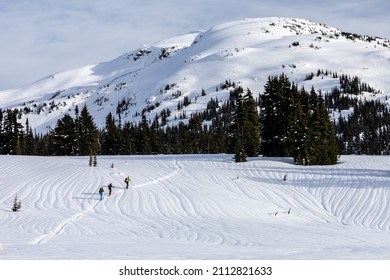 Group of skiers climbing a mountain in Garibaldi Provincial Park, Whistler, British Columbia, Canada
