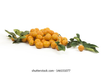 A group of small kumquats or cumquats or fortunella, isolated over white background