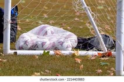 Group Of Soccer Balls On Field In Net Bag