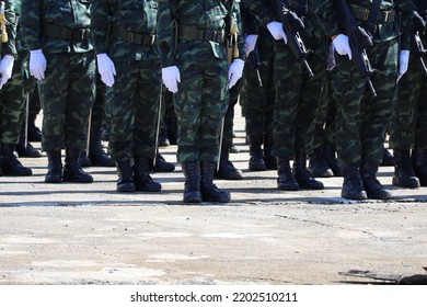 A Group Of Soldiers Standing In A Straight Line Posture Receive Military Training In Addition To Combat Tactical Training, You Must Train For Strength.