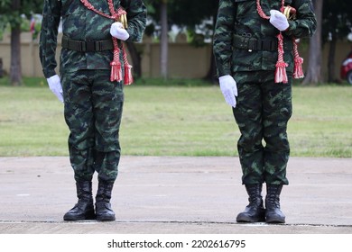 A Group Of Soldiers Standing In A Straight Line Posture Receive Military Training In Addition To Combat Tactical Training, You Must Train For Strength.