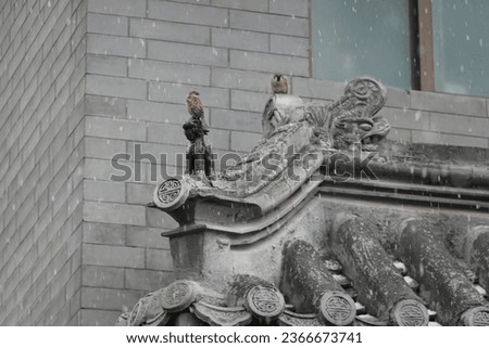 A group of sparrows perch on the snowy roof of traditional Chinese architecture, adding a touch of life to the serene scene.