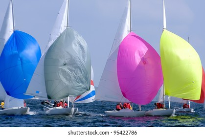 Group Spinnaker At Regatta