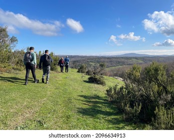 A Group Of Sporty People Walking In The Lush Plain