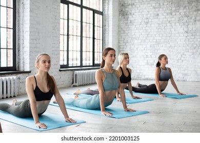 Group Of Sporty Women On Yoga Mats Doing Fitness Or Yoga Exercises In Gym, Beautiful Slim Girls Wearing Sportswear Posing At Grey Fitness Center Wall Background.