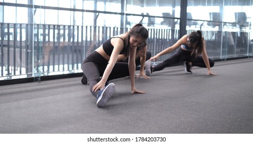 Group of sporty young asian women in sportswear warming up with gymnastics and stretching exercises pre-workout weight training, healthy bodybuilding, Athlete builder muscles lifestyle concept. - Powered by Shutterstock