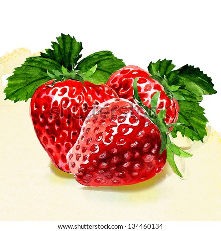 group of strawberries. watercolor painting on white background