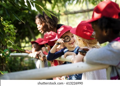 Group Of Student Are In A Field Trip