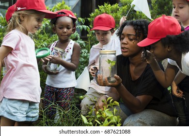 Group Of Students Is On A Field Trip