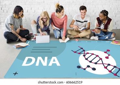 Group Of Students Studying Dna Genetics Graphic On The Floor