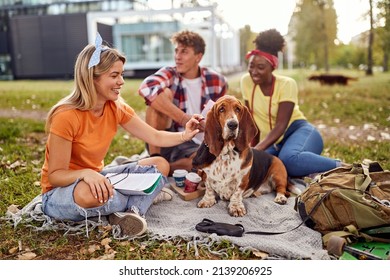A group of students is taking a rest by sitting on the grass in a relaxed atmosphere in the park with their dogs. Friendship, rest, pets, picnic