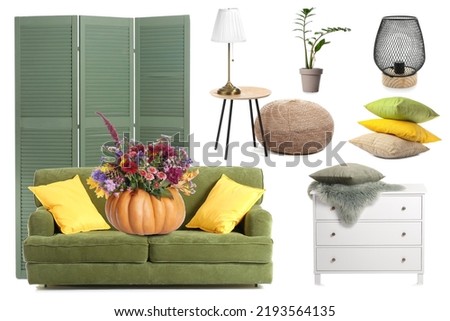 Group of stylish furniture and autumn decor for room interior on white background