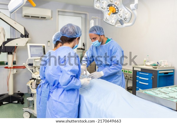Group\
of surgeons doing surgery in hospital operating theater. Medical\
team doing critical operation. Group of surgeons in operating room\
with surgery equipment. Modern medical\
background