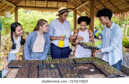 Group Of Teacher Students Teenager Having Outdoor Lesson Exploring Nature. Outdoor Class With Fresh Organic Vegetables In Nursery Farm. Education Sustain Concept