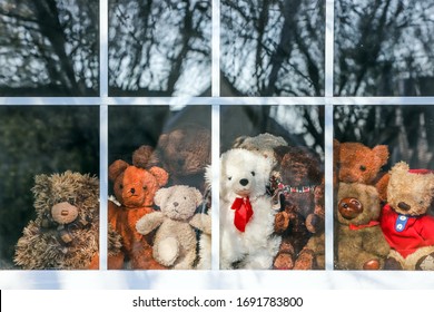 Group Of  Teddy Bears Sitting In A Window Set Up For A Bear Hunt