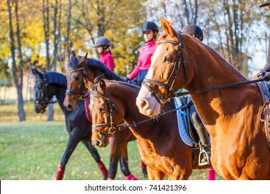 Group of teenage girls riding horses in autumn park. Equestrian sport background with copy space - Powered by Shutterstock