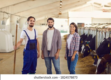 Group Of Three Happy Young Dairy Farm Workers Looking At Camera And Smiling After Feeding The Livestock And Cleaning The Cowshed On Typical Working Day