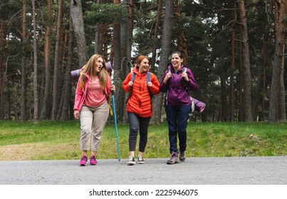 Group Of Three Women With Hiking Backpacks Trekking Along A Road In The Forest