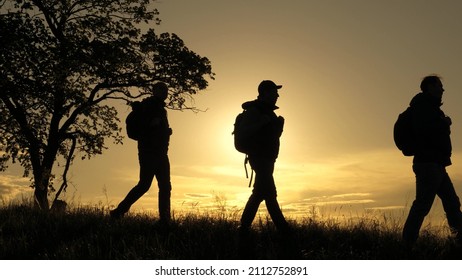 A group of tourists is walking against background of sky. Hikers walk mountain in light of sunset. Silhouette. Teamwork. Hiking, hiking and adventure in nature, in park, field. Friends