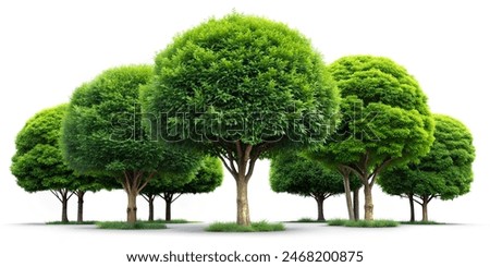 Similar – Image, Stock Photo Group of trees and cows