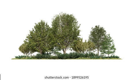 864,918 Tree Groups Images, Stock Photos & Vectors | Shutterstock