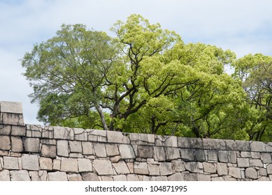 Group of trees behind a stone wall and cloudy sky