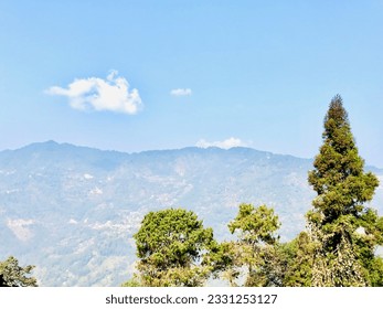 
A group of trees in front of a mountain