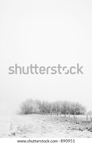 Similar – Foto Bild Warschauer Schnee Winter