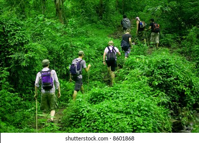 Group Of Trekkers Hike Through Lush Green Jungle