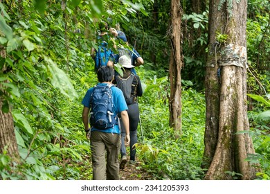 A group of trekkers are trekking on Doi Suthep. - Powered by Shutterstock