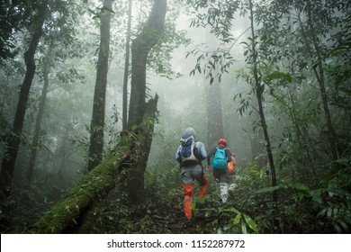 Group of Trekking in rainforest jungle. adventure and explorer concept.