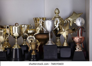 Group Of Trophy Displayed On The Shelf