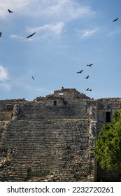A group of Turkey vultures (Cathartes aura) flies over the Mayan ruin complex at Chichen Itza. - Shutterstock ID 2232720261