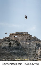 A group of Turkey vultures (Cathartes aura) flies over the Mayan ruin complex at Chichen Itza. - Shutterstock ID 2233547963
