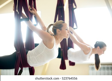 Group of two young beautiful yogi women doing aerial yoga practice in purple hammocks in fitness club. Attractive models working out. Backbend exercise in class. Variation of snake pose, Sarpasana