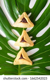 Group Of Variety Triangular Cookies Hamantaschen Traditional Meal For Jewish Holiday Purim On Monstera Leaf. Leaf Plates To Conserve The Environment.