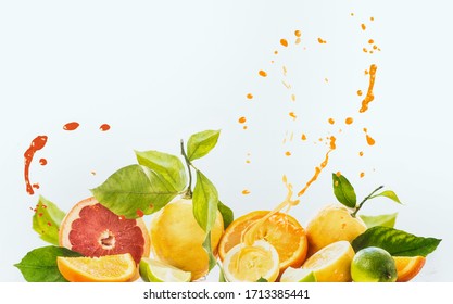 Group of various citrus fruits with juice splash at white background. Oranges, grapefruit, lime and lemon with green leaves. Slices, halves and quarters of fruits. Healthy food and drinks concept