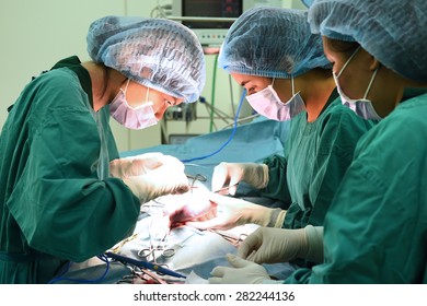 Group Of Veterinarian Surgery In Operation Room 