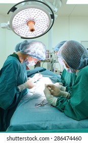 Group Of Veterinarian Surgery In Operation Room