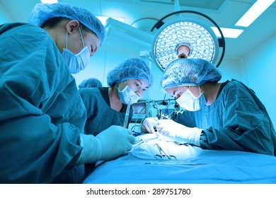 group of veterinarian surgery in operation room take with art lighting and blue filter
