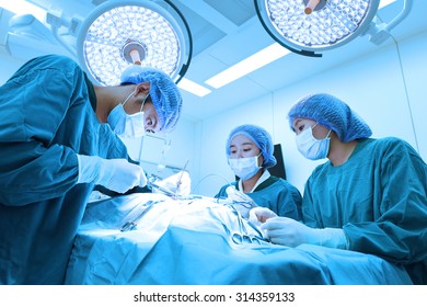 Tierarztchirurgie-Gruppe im Operationsraum mit Kunstbeleuchtung und blauem Filter
