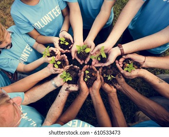 Group of volunteer with sprout for growing - Shutterstock ID 610533473