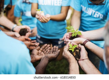 Group of volunteer with sprout for growing - Powered by Shutterstock