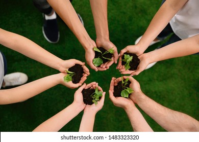 Group of volunteers holding soil with sprouts in hands outdoors, top view - Shutterstock ID 1483323320