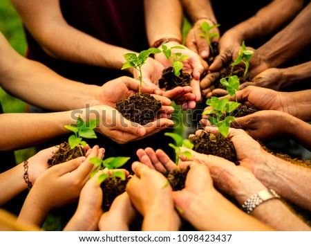 Group of volunteers planting new trees