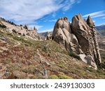 A group of weathered rock formations rests on a grassy hilltop, creating a scene of natural resilience and beauty. This captivating image is perfect for those who appreciate the power of nature