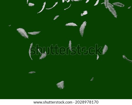 Group of white bird feathers falling down over green background. Easy style, can be used in flyers, banners, web. Light cute feathers design. 3D rendering