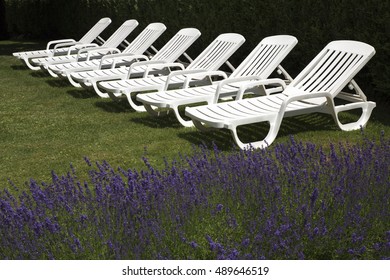 A group of white canvas chairs in the garden of a hotel. Lavender growing at the side.