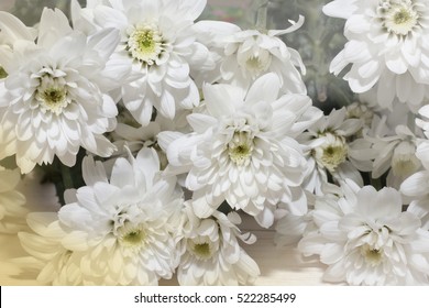 group of white flower on wooden desk,white flower have green leaf,green leaf make oxygen