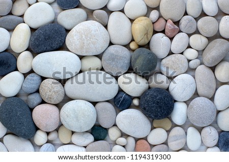 Group of white, grey and black pebbles, one by ony, simplicity stone background, flat lay texture in daylight
